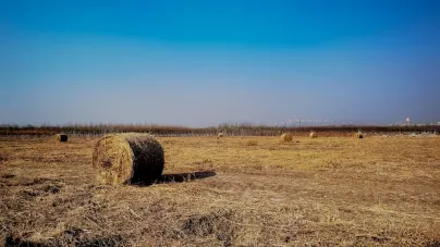 Casholot Kasino Mobilná aplikácia